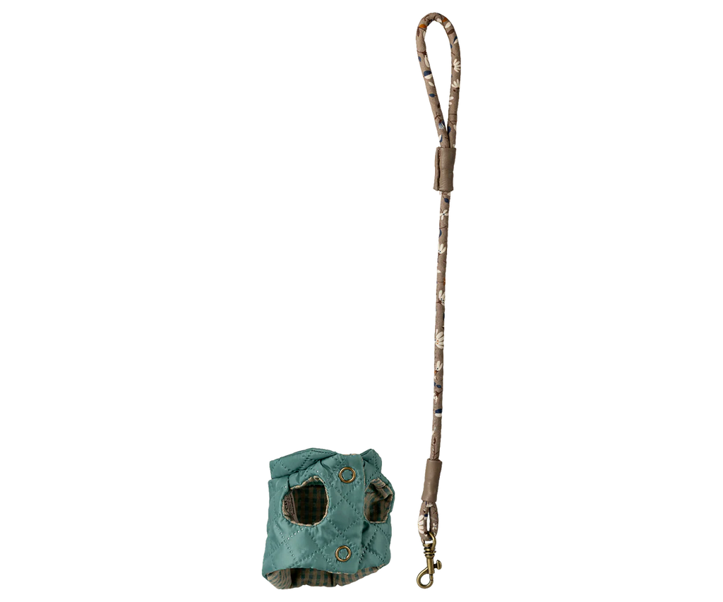 Dark Mint Pet Supply - Harness and Leash