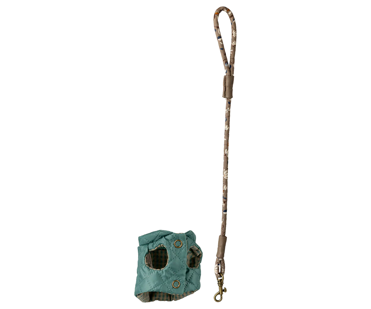 Dark Mint Pet Supply - Harness and Leash