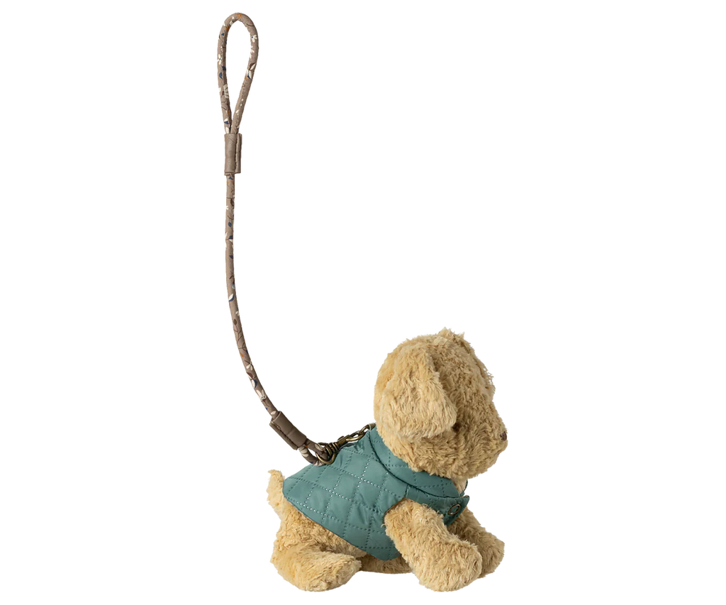 Dark Mint Pet Supply - Harness and Leash