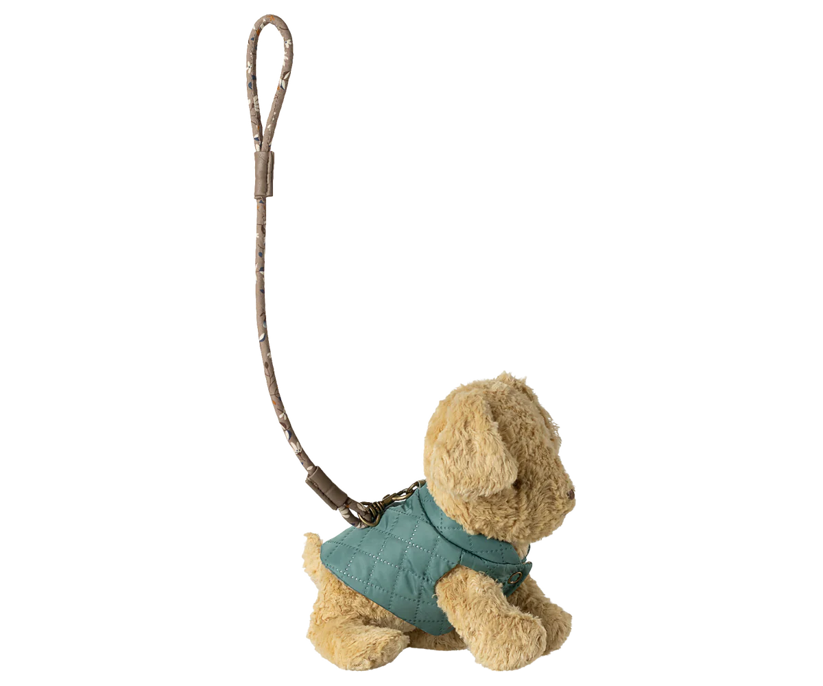 Dark Mint Pet Supply - Harness and Leash