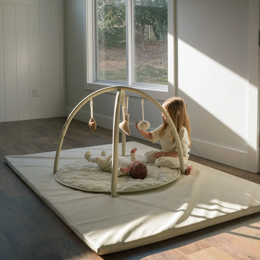 Baby Activity Gym