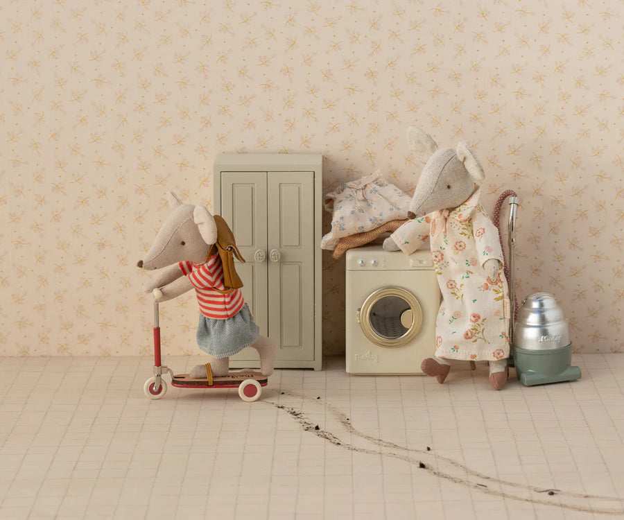 Red Mouse Kick Board