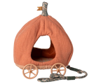 Mouse Pumpkin Carriage
