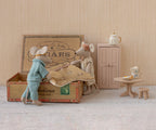 Mum & Dad Mice in Cigar Box