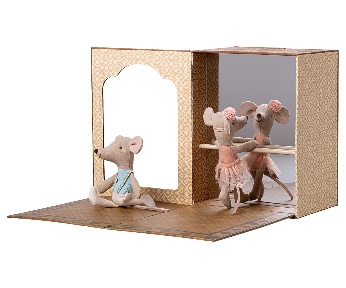 Little Sister & Brother Ballet Mice in Dance Studio