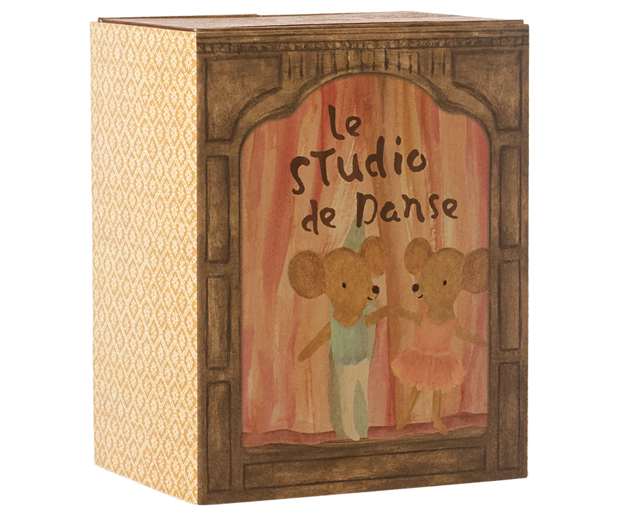 Little Sister & Brother Ballet Mice in Dance Studio