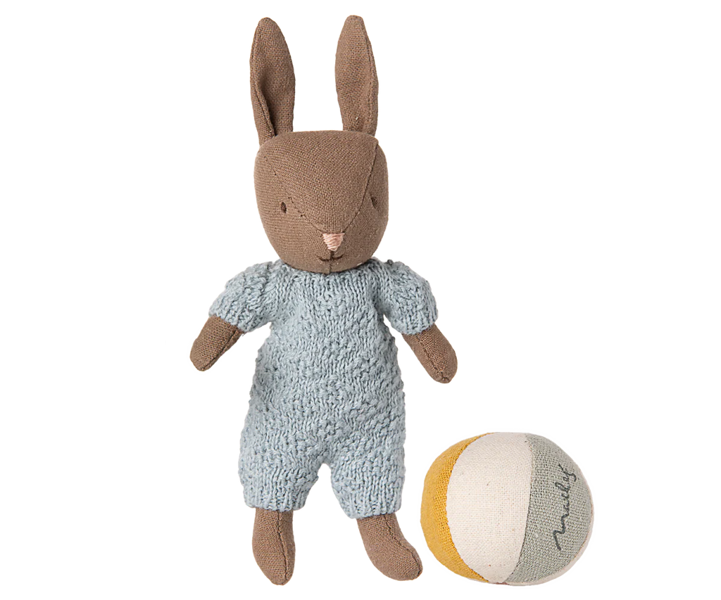 Brown Micro Rabbit Set - Blue