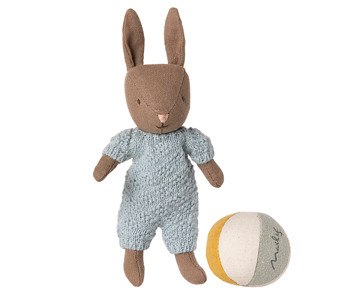Brown Micro Rabbit Set - Blue