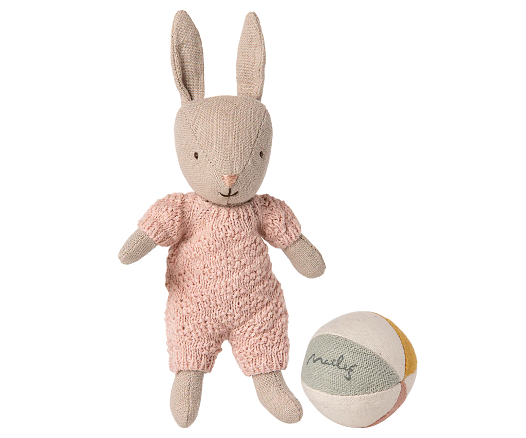 Sand Micro Rabbit Set - Rose
