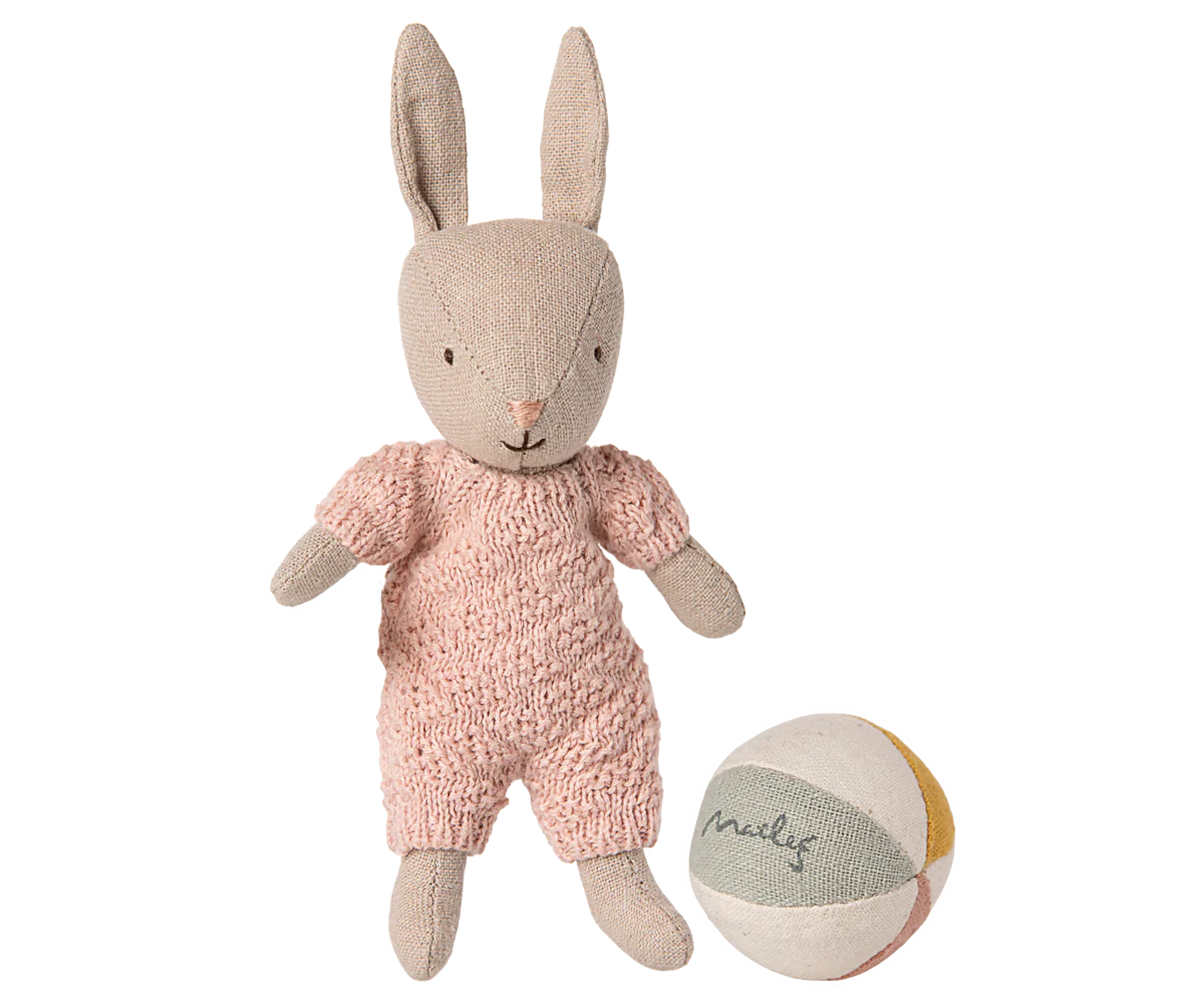 Sand Micro Rabbit Set - Rose