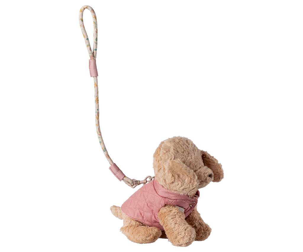 Rose Pet Supply - Harness and Leash
