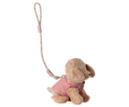 Rose Pet Supply - Harness and Leash