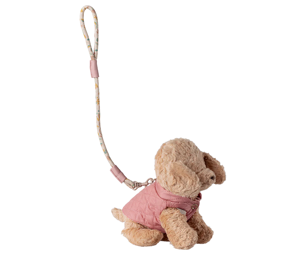 Rose Pet Supply - Harness and Leash