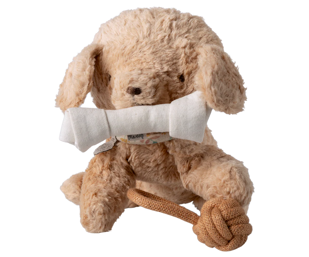 Pet Supply Toys