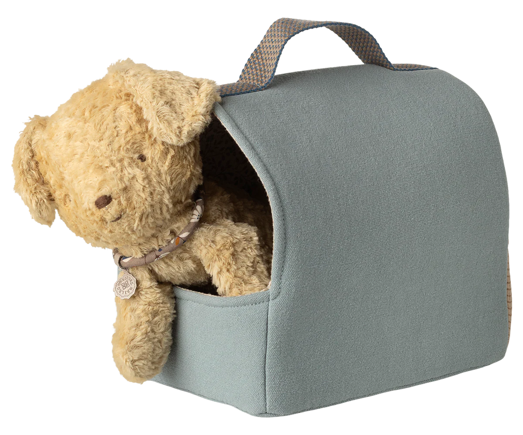 Dusty Blue Pet Carrier