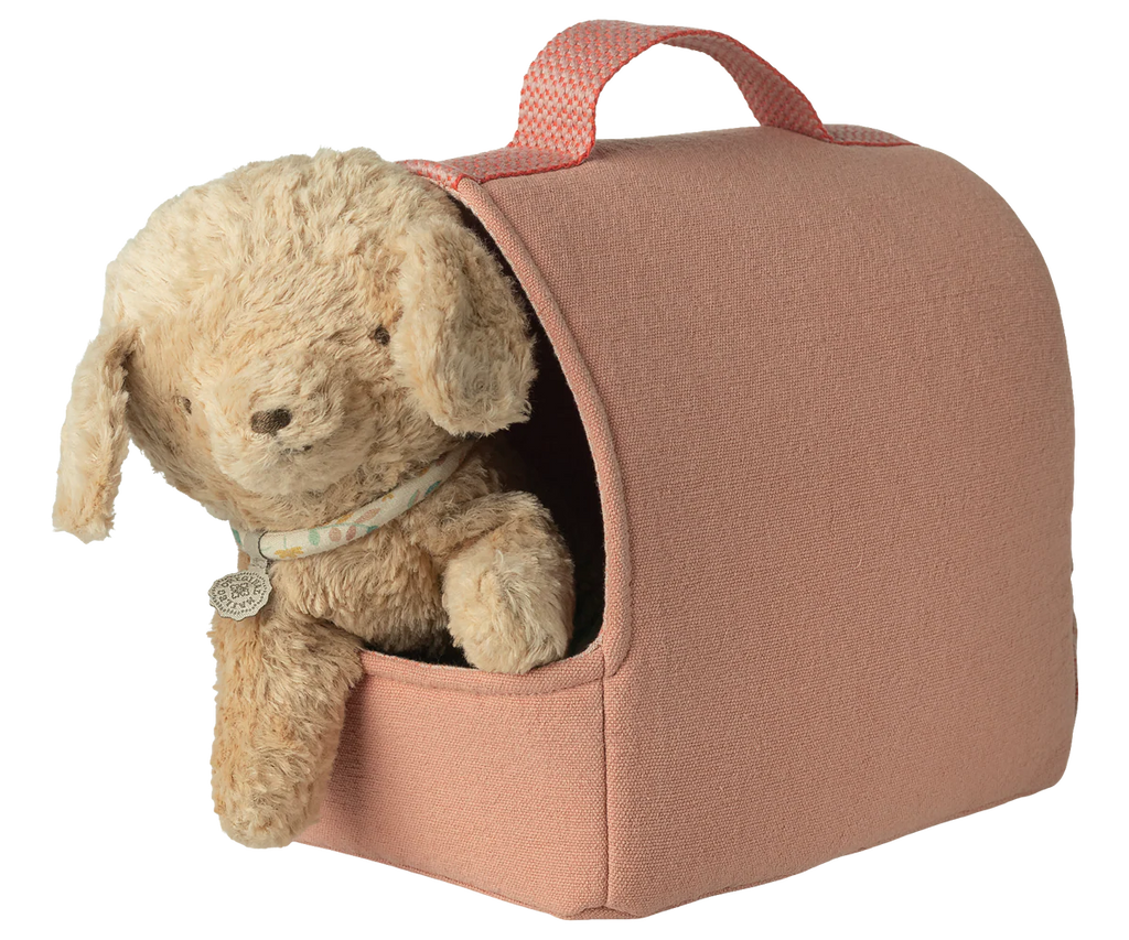 Coral Pet Carrier