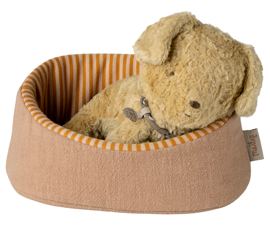 Powder Pet Basket