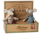 Grandma & Grandpa Mice in Cigarbox