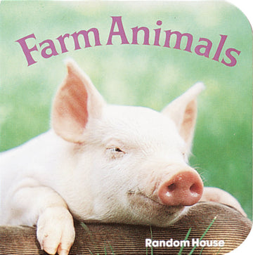 Farm Animals Board Book