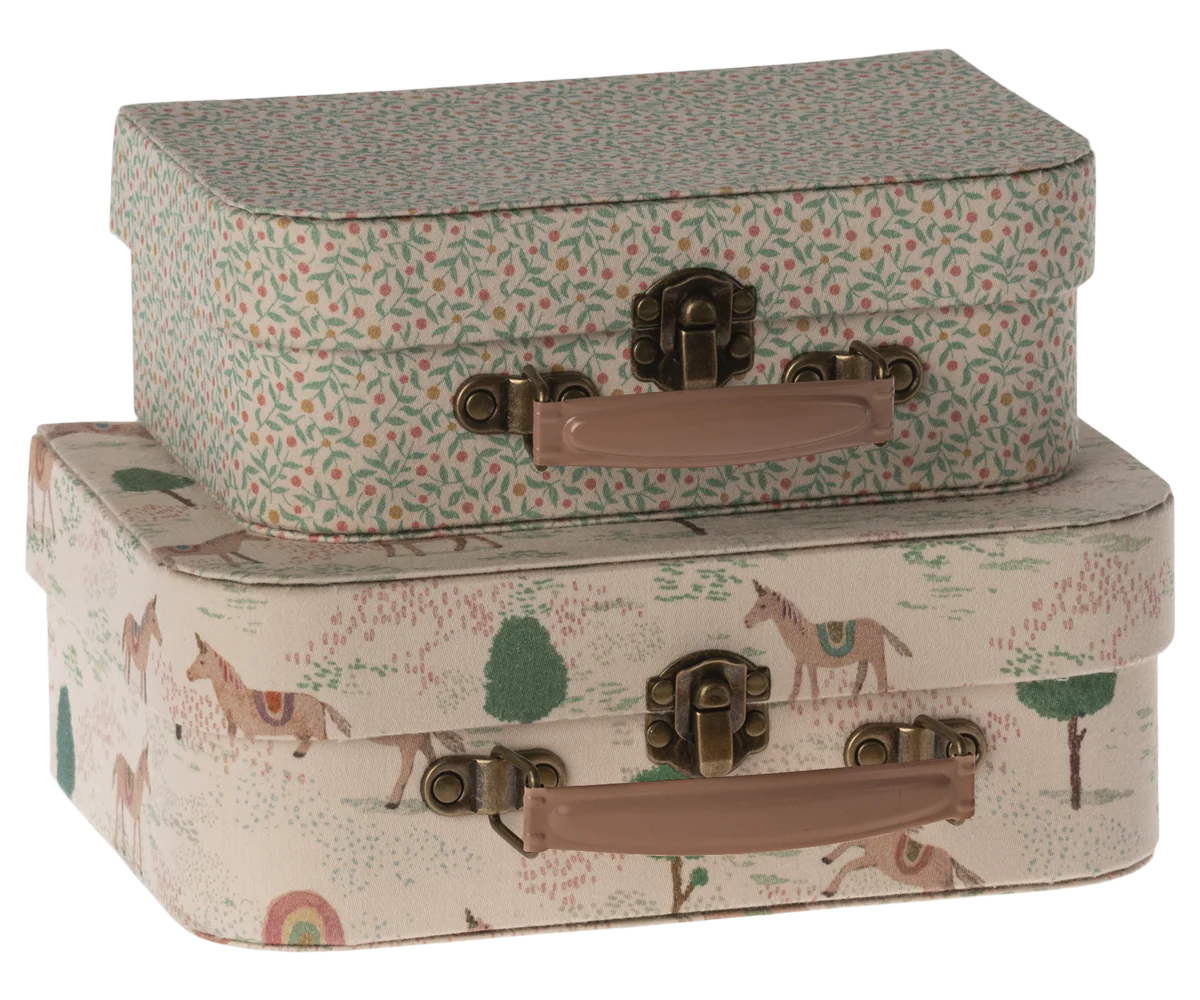 2 Piece Suitecase Set