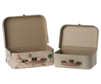 2 Piece Suitecase Set