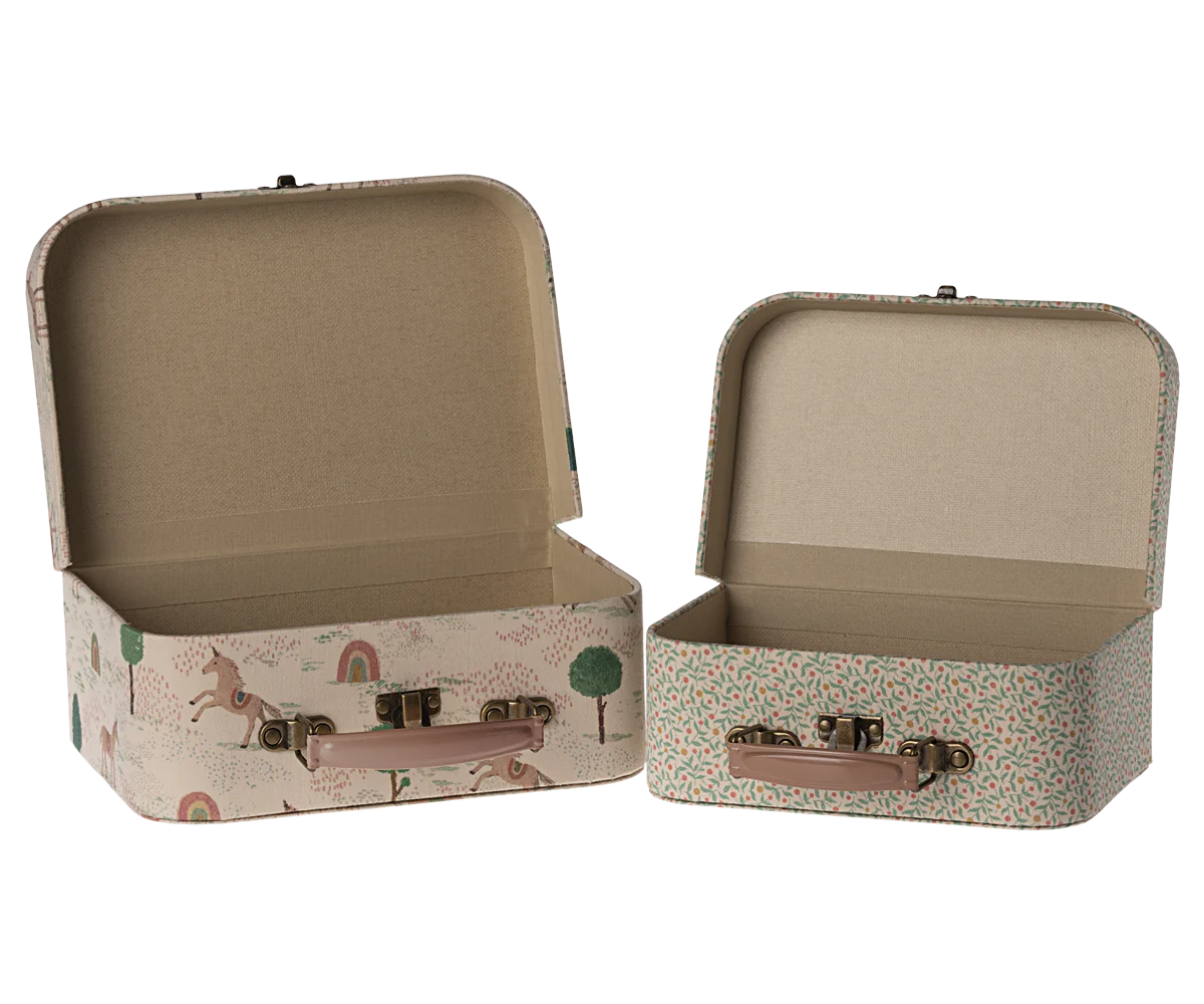 2 Piece Suitecase Set