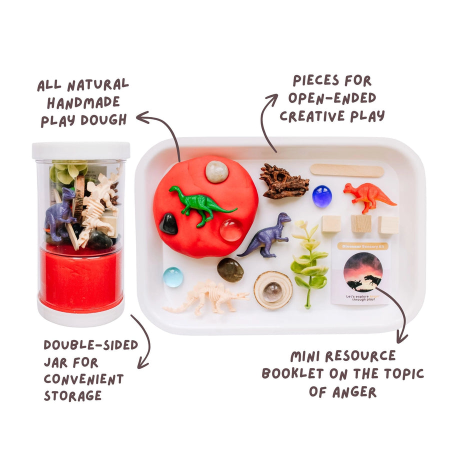 Children's Dinos Sensory Play Dough Kit