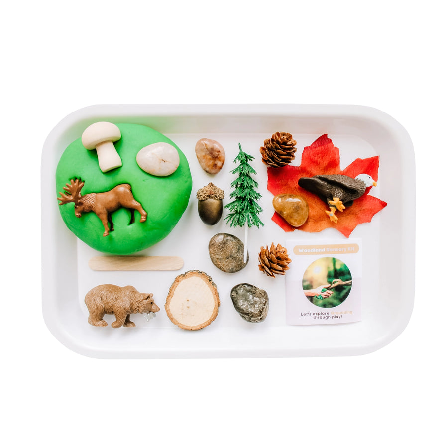 Children's Woodland Sensory Play Dough Kit