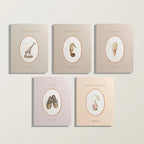 Our Little Library Board Book Box Set - Volume II