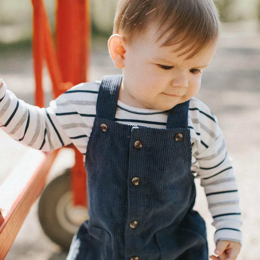 Blue Stripe Corduroy Overall Set