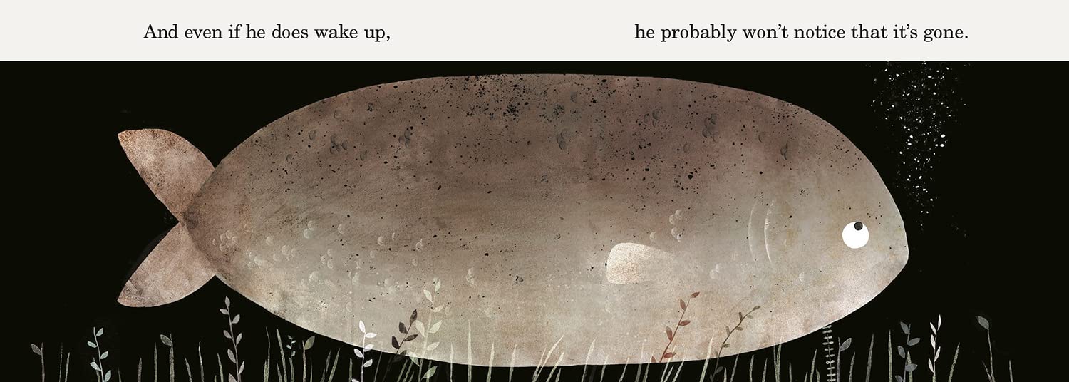 This Is Not My Hat Board Book