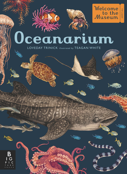 Oceanarium (Welcome to the Museum)