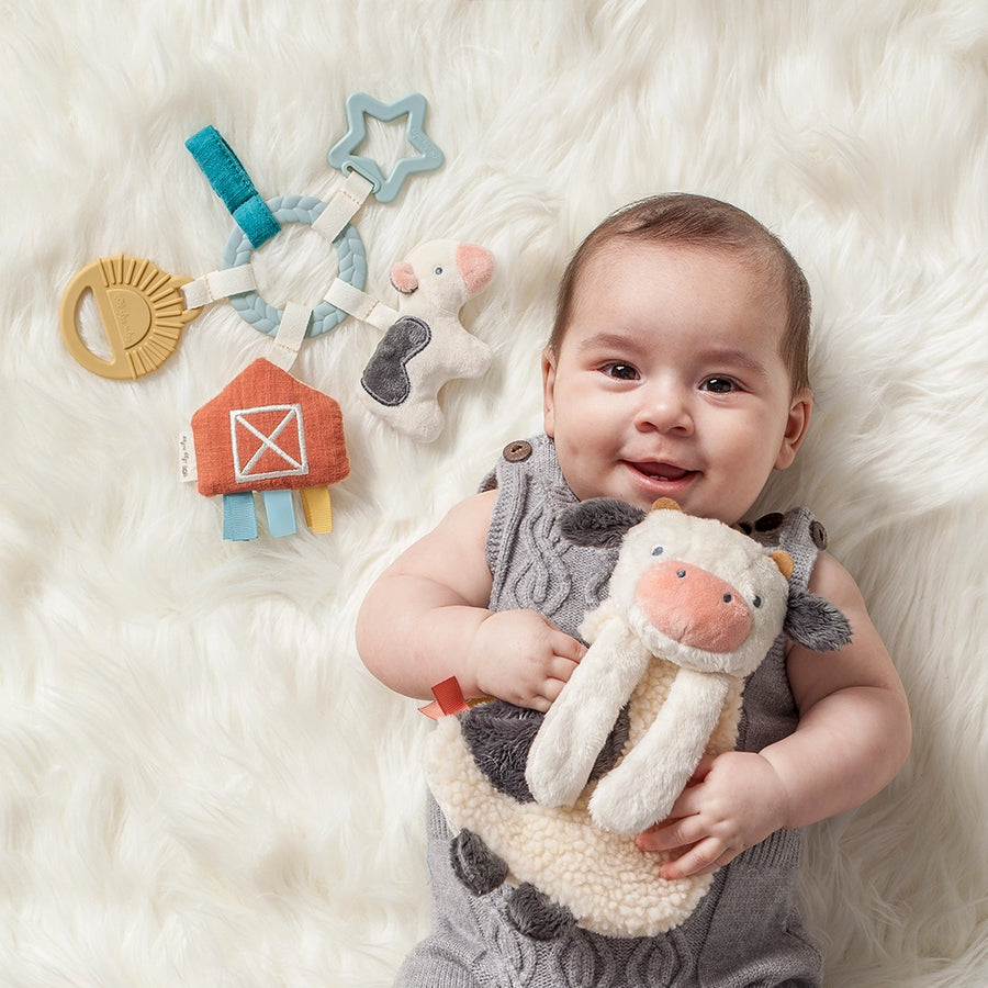 Farm Bitzy Busy Ring™ Teething Activity Toy