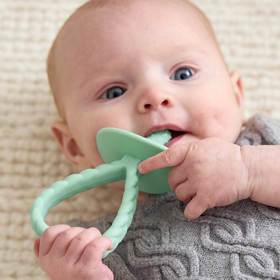 Itzy Pre-Feeding Teether Set