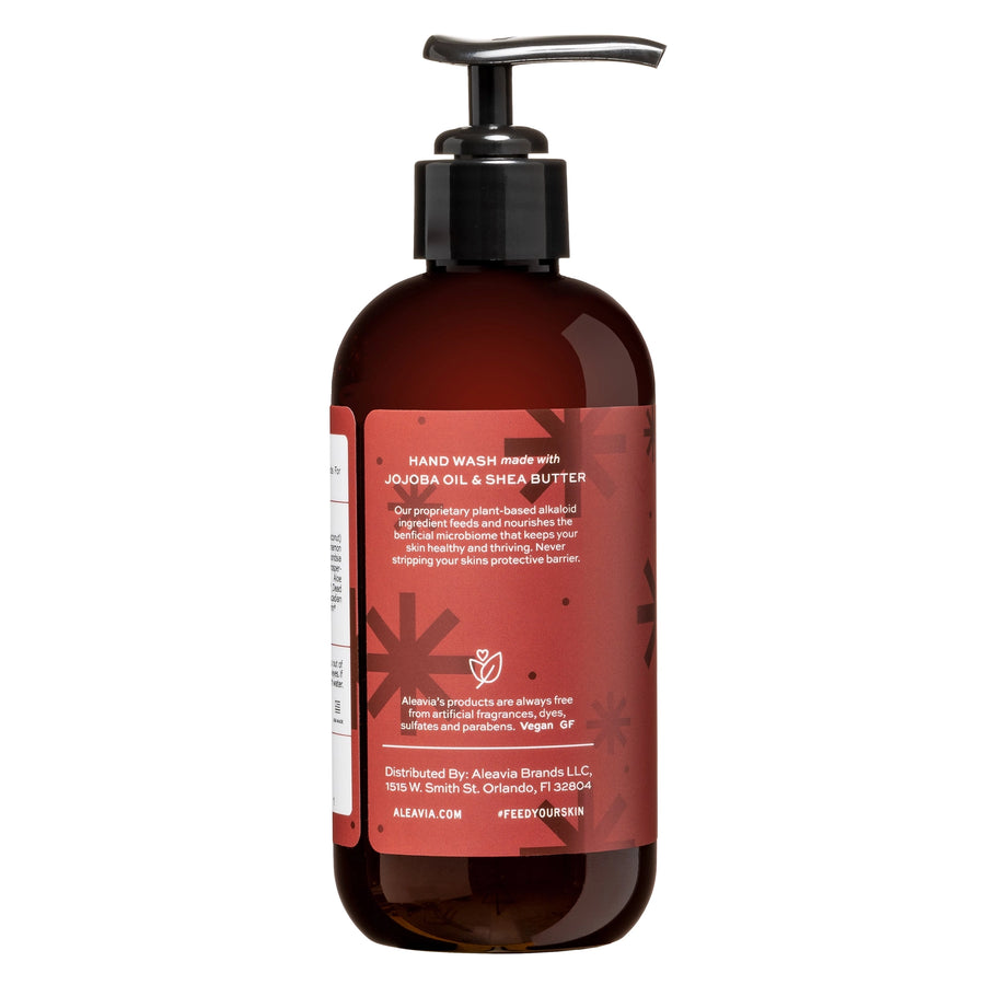 Balsam Winter Hand Wash