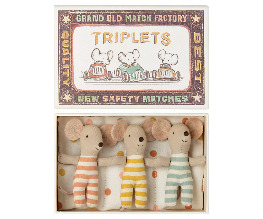 Triplets Baby Mice in Matchbox