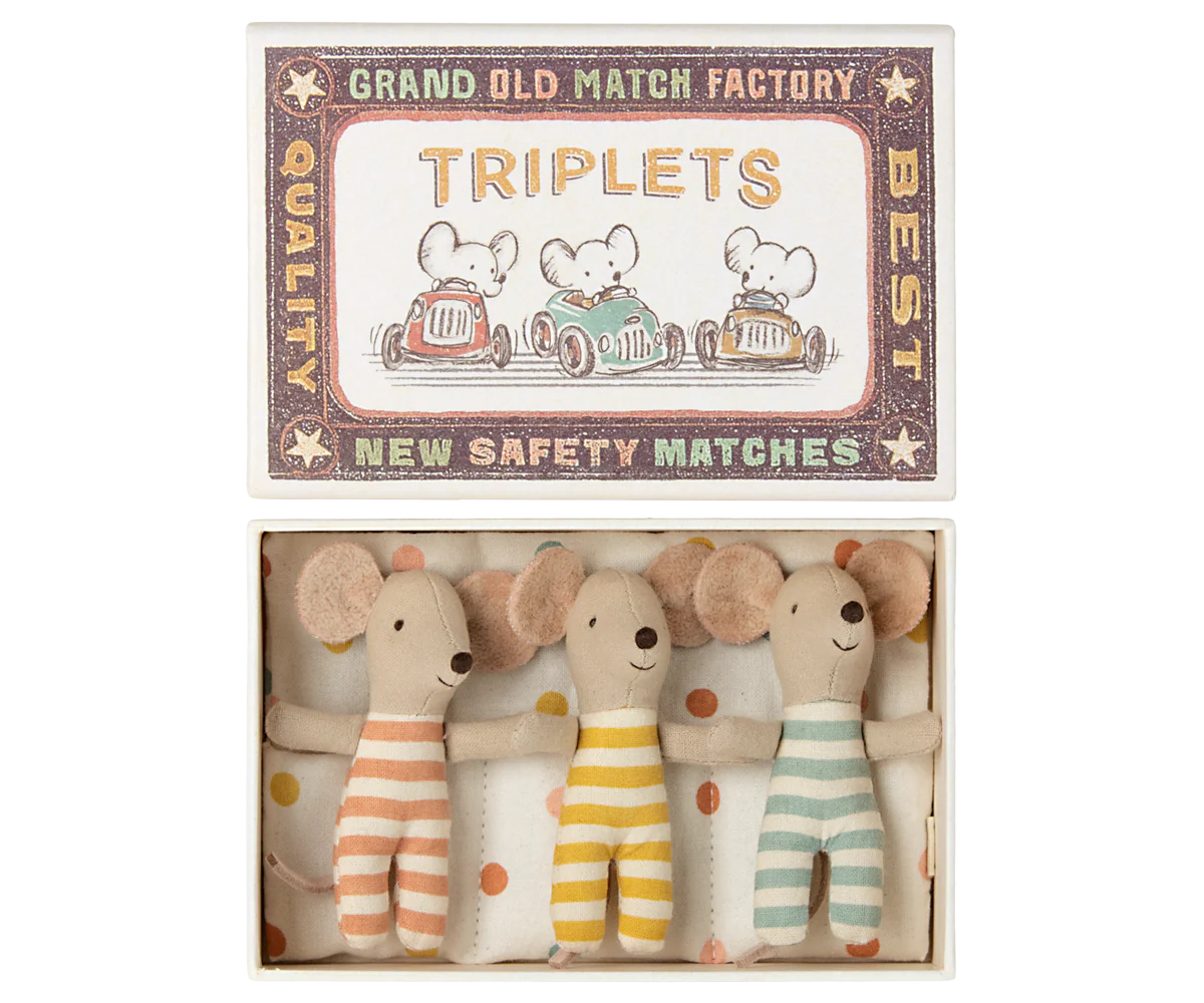 Triplets Baby Mice in Matchbox
