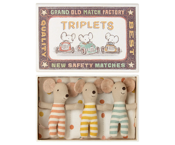 Triplets Baby Mice in Matchbox