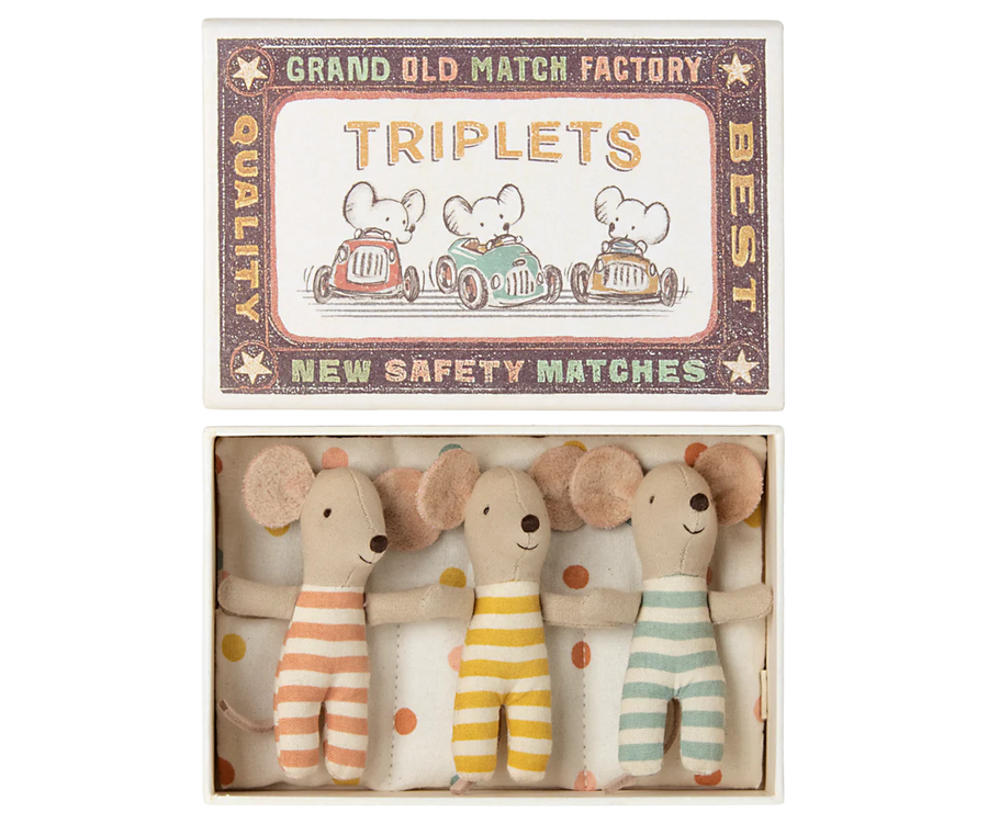 Triplets Baby Mice in Matchbox