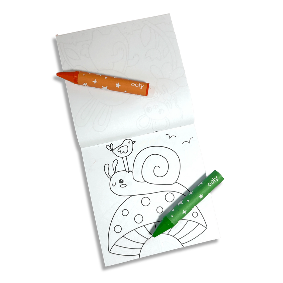 Carry Along Crayon & Coloring Book Kit - Garden Pals