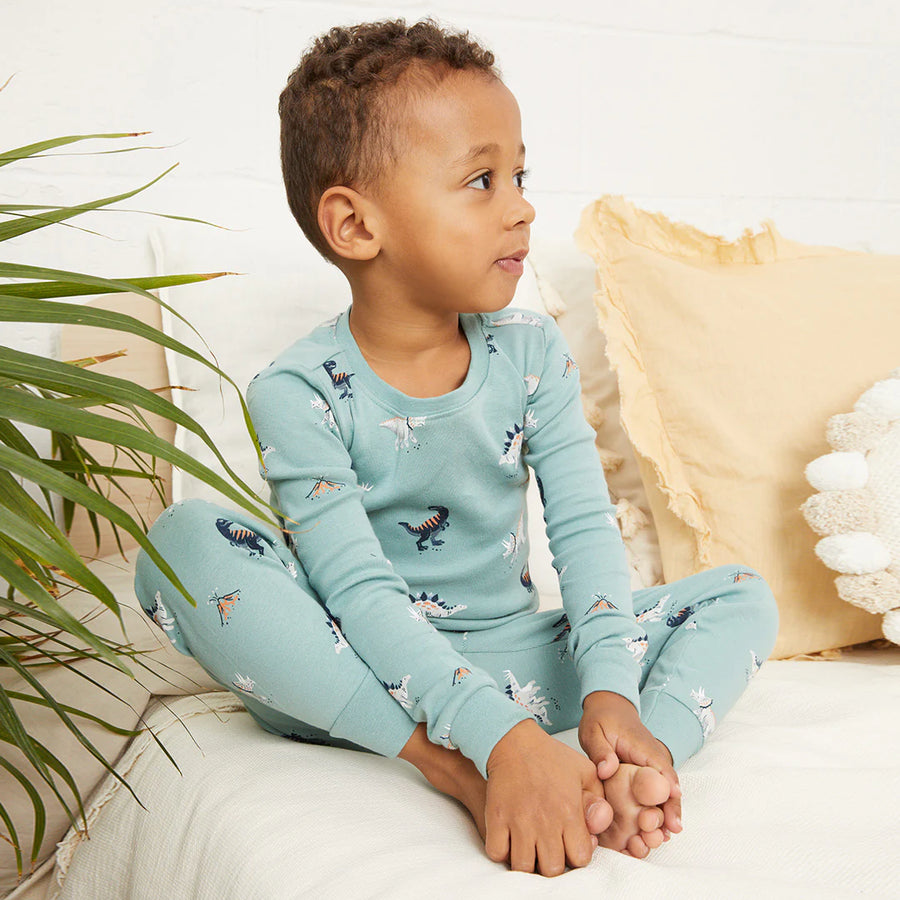 Dinosaur Pajama Set