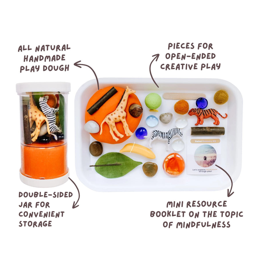 Children's Safari Play Dough Sensory Kit