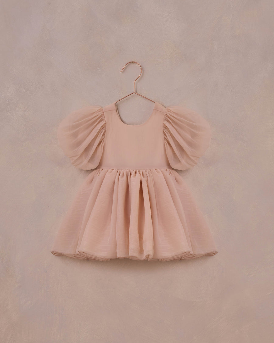 Blush Sofia Dress