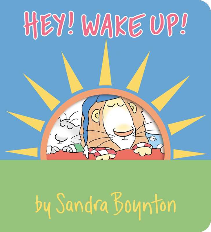 Hey! Wake Up! Board Book