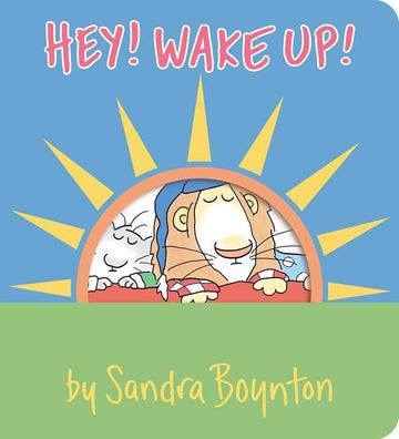 Hey! Wake Up! Board Book