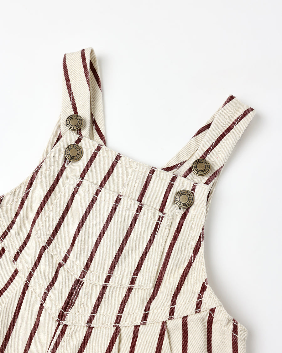 Burgundy Stripe Vintage Overall