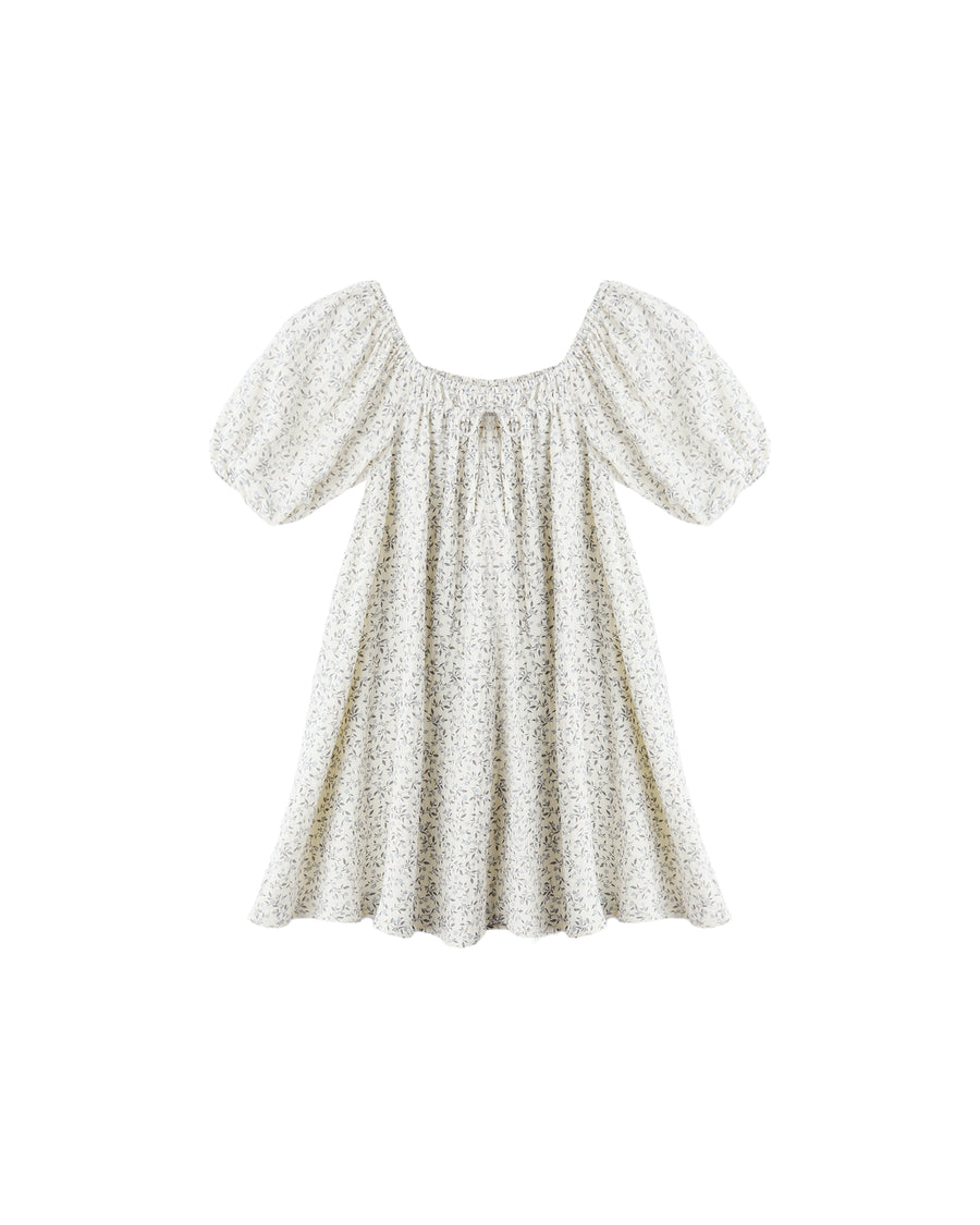 Blue Vines Sabrina Mini Dress