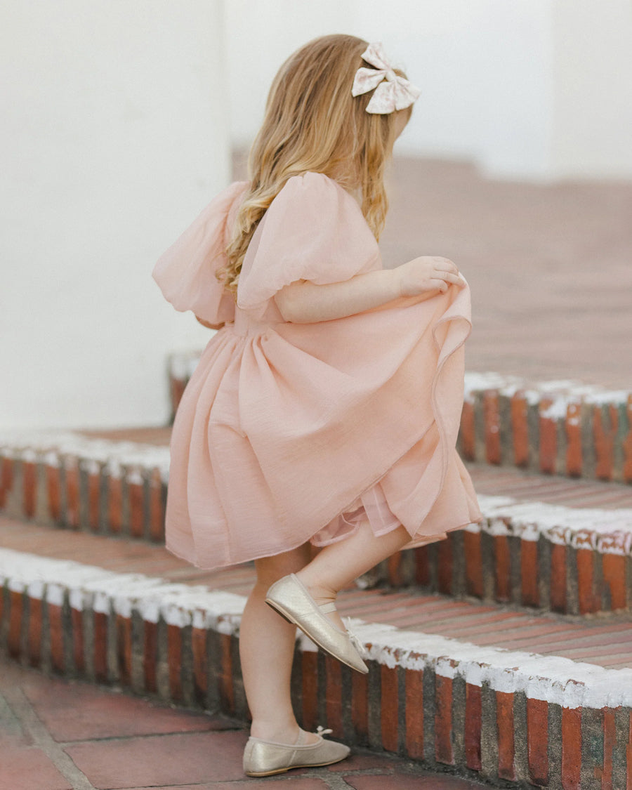 Blush Sofia Dress