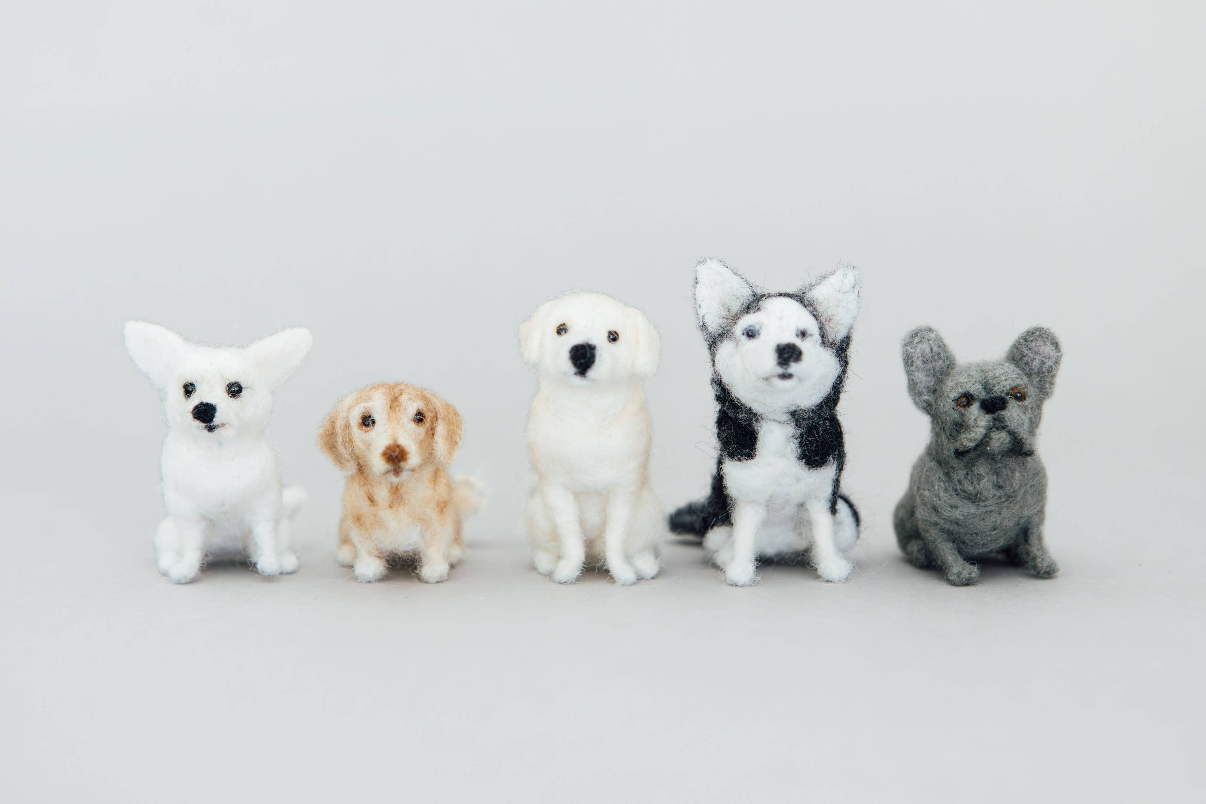 Little Felted Friends: Labrador Retriever Needle-Felting Kit