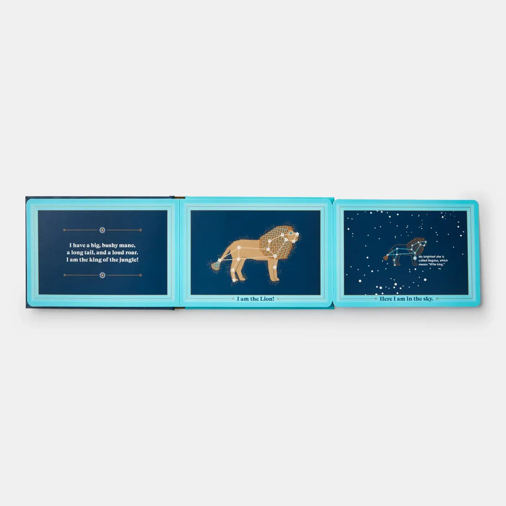 Animals In The Sky Board Book